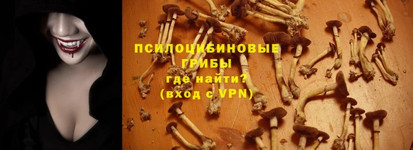 a pvp Алексин