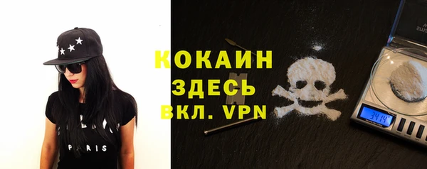 мяу мяу кристалл Арсеньев